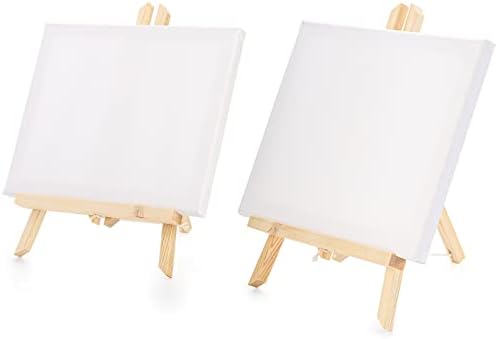 Tosnail 6 Pack 8x10 Inch Canvas and Easel Set