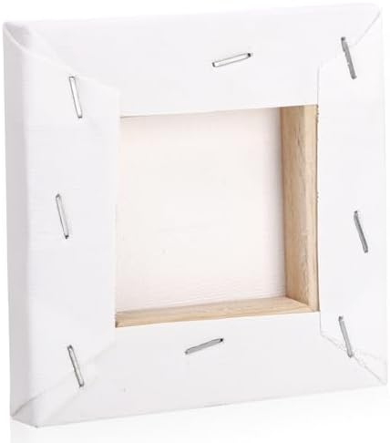 Tosnail 24 Pack 4x4 Mini Canvas and Easel Set