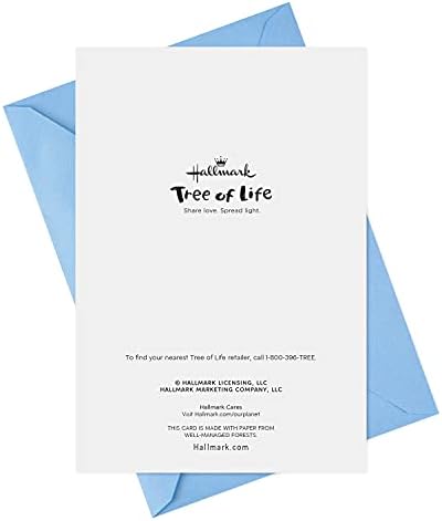 Hallmark Tree of Life Hanukkah Cards 6-Pack