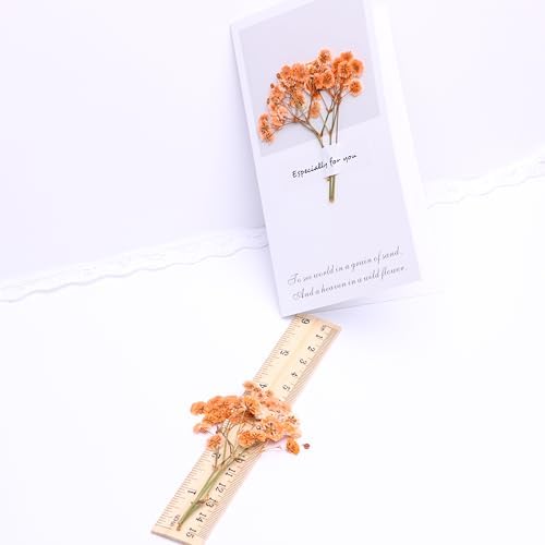 Orange Babys Breath Dried Flowers with Blessing Card 5 Pcs Set
