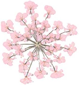 Natural Dried Flower Epoxy Resin Phone Decor DIY Kit