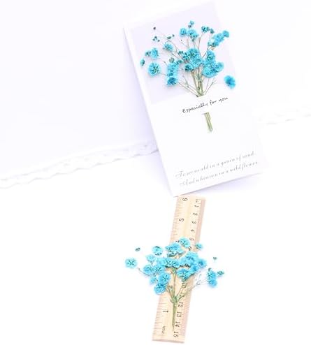 Lake Blue Gypsophila Dried Flowers Greeting Card Set