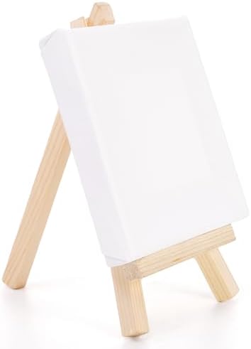 Tosnail 24 Pack 4x4 Mini Canvas and Easel Set