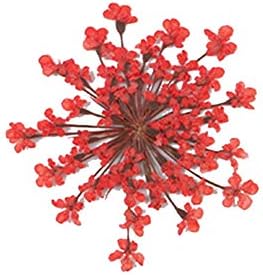 Natural Dried Flower Epoxy Resin Phone Decor DIY Kit