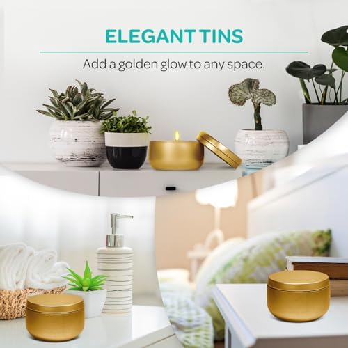 Hearts Crafts 24-Pack Gold Candle Jars with Lids