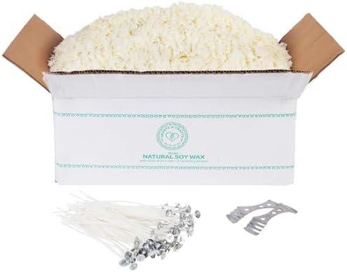 Hearts Crafts Soy Candle Wax Kit - 10 lb Flakes 100 Wicks 2 Holders