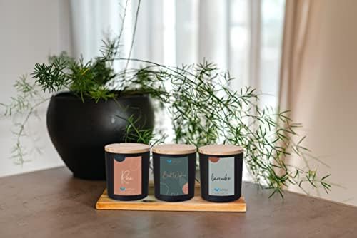 SoftOwl Premium Soy Candle Making Kit - Black Edition