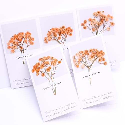 Orange Babys Breath Dried Flowers with Blessing Card 5 Pcs Set