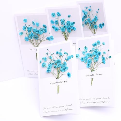 Lake Blue Gypsophila Dried Flowers Greeting Card Set