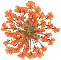 Natural Dried Flower Epoxy Resin Phone Decor DIY Kit