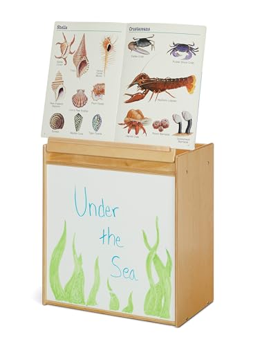 Jonti-Craft YoungTime 7094 YT Big Book Easel