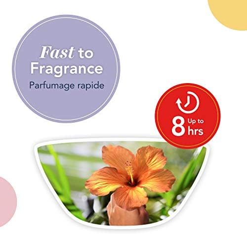 Yankee Candle Wax Melts The Last Paradise