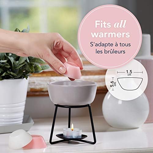 Yankee Candle Wax Melts The Last Paradise
