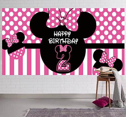 Minnie 2nd Birthday Photo Backdrop - 66 x 33 ft