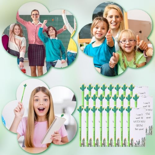 50 Piece Cactus Ballpoint Pens with Cards and Ties