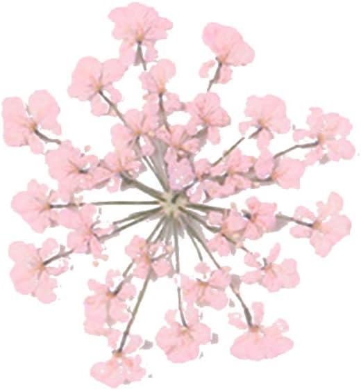 Natural Dried Flower Epoxy Resin Phone Decor DIY Kit