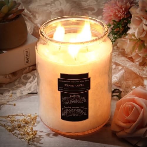 Ziliny 25 Oz Glass Candle Jars with Airtight Lids 6 Pcs