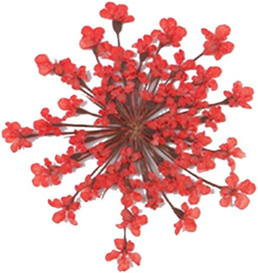 Natural Dried Flower Epoxy Resin Phone Decor DIY Kit