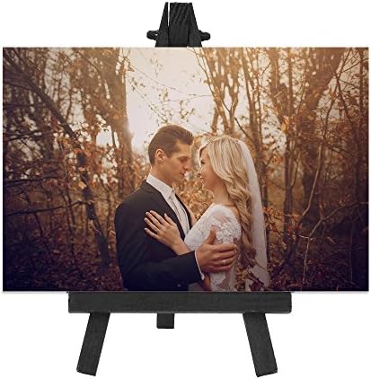 Eboot 12 Pack 625 Inch Wood Easels for Painting and Art