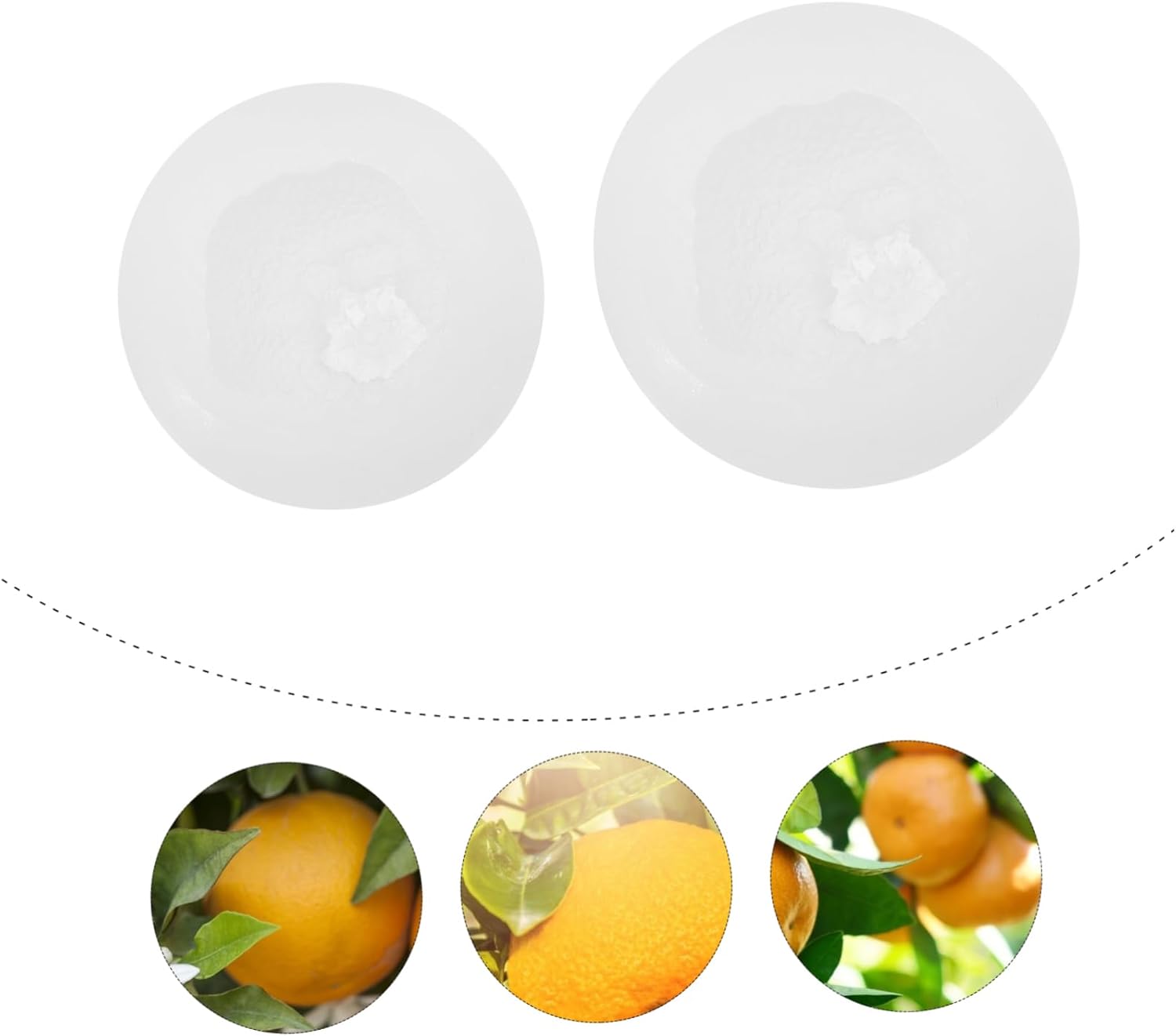 2Pcs Artificial Fruit Casting Mold for Realistic Crafts