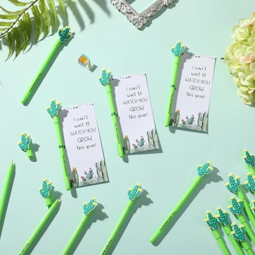 50 Piece Cactus Ballpoint Pens with Cards and Ties