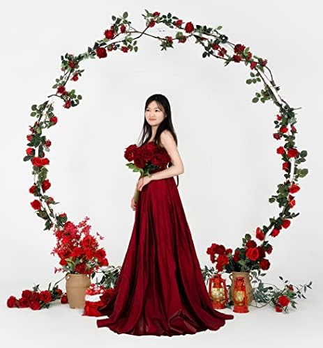 Harfirbe Round Backdrop Stand 65ft Aluminum Arch Kit