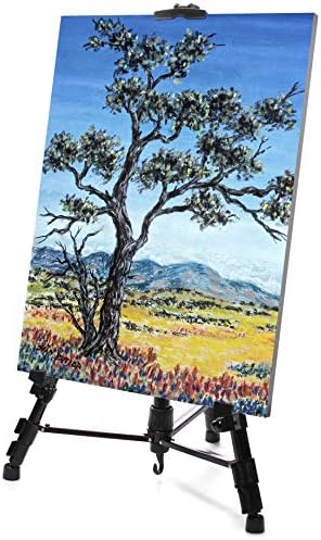 VViViD Aluminum Adjustable Light Weight Portable Display Easel 60 Inch