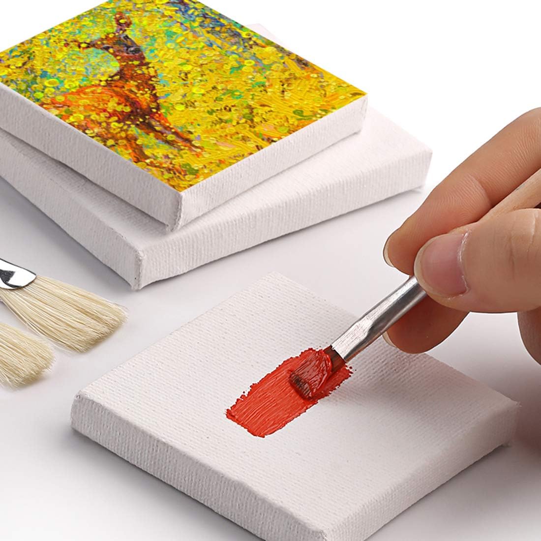 Tosnail 12 Pack Mini Canvas and Easel Set