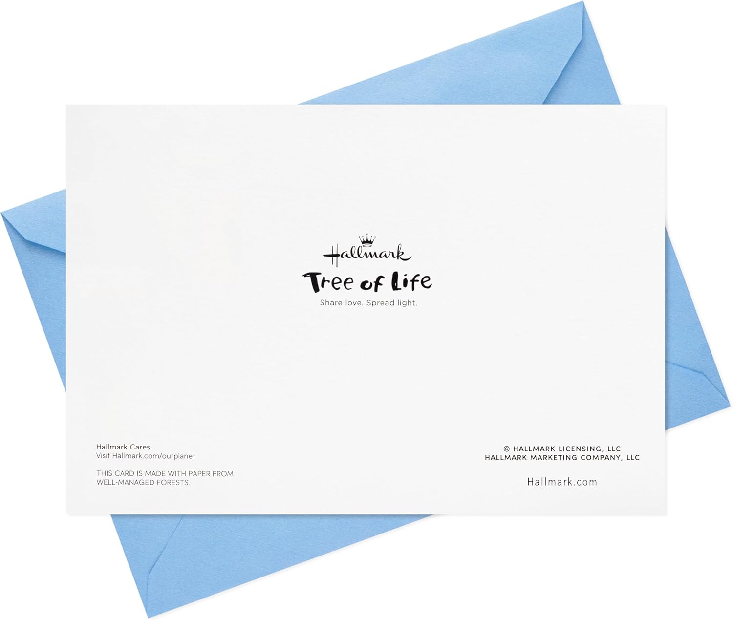 Hallmark Tree of Life Hanukkah Cards 16 Pack