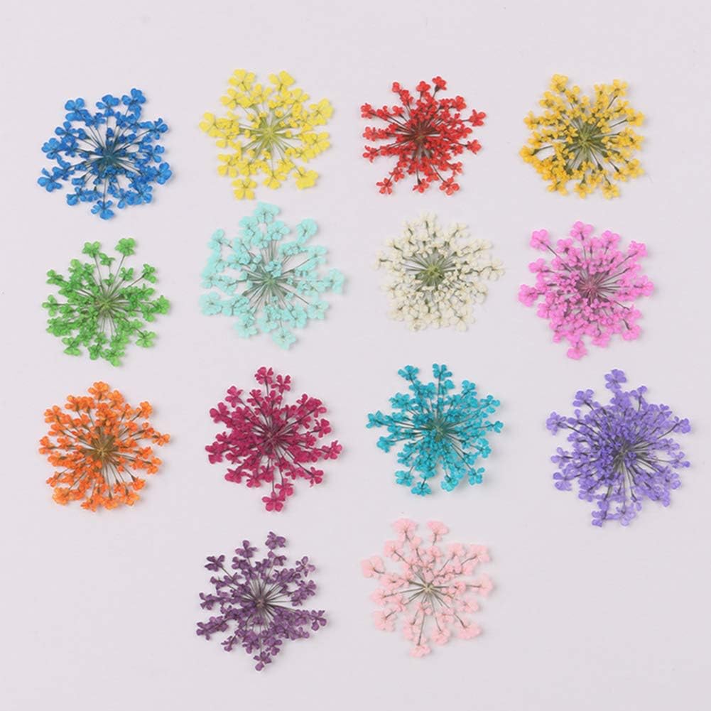 Natural Dried Flower Epoxy Resin Phone Decor DIY Kit
