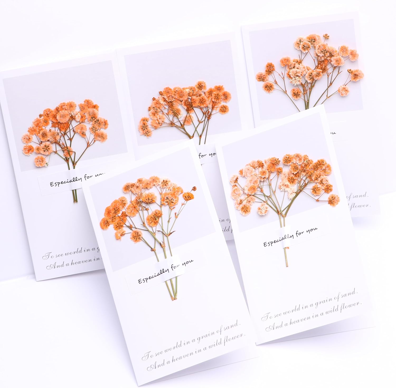 Orange Babys Breath Dried Flowers with Blessing Card 5 Pcs Set