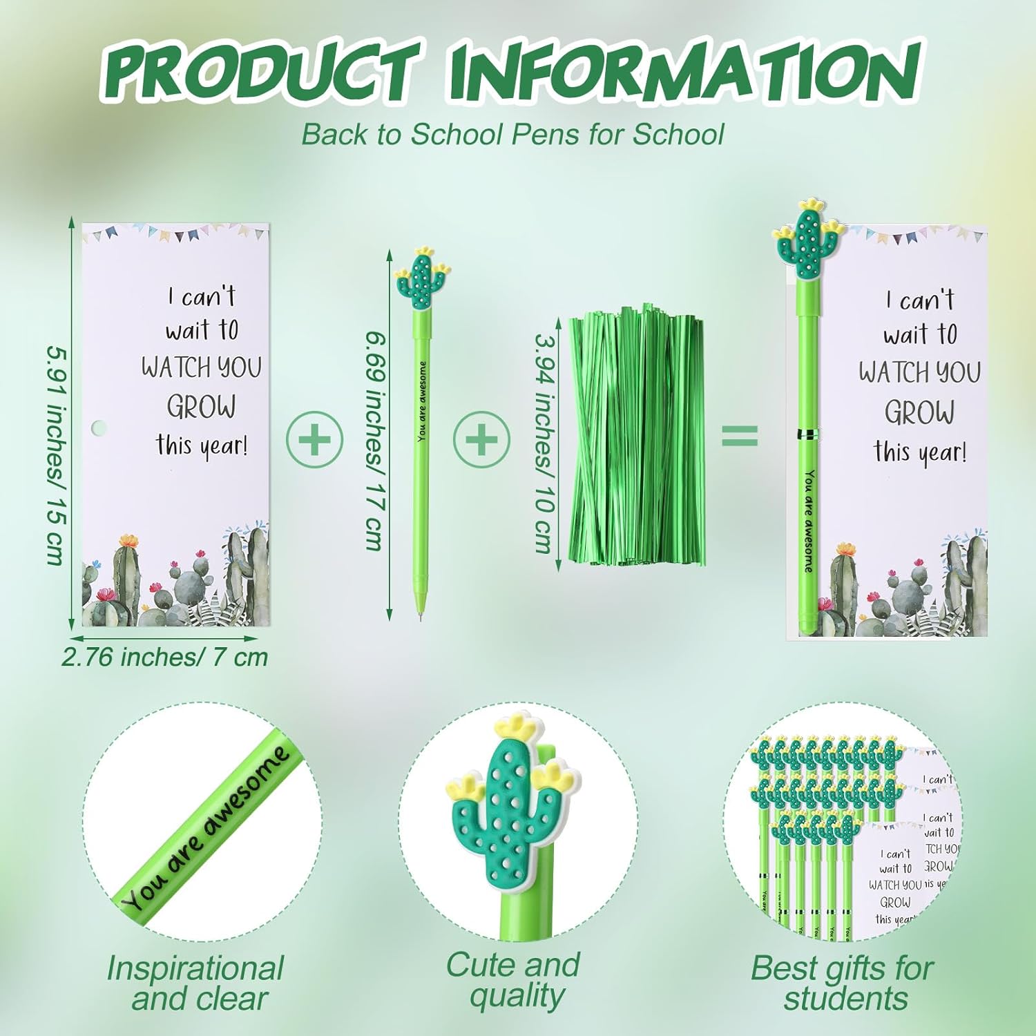 50 Piece Cactus Ballpoint Pens with Cards and Ties