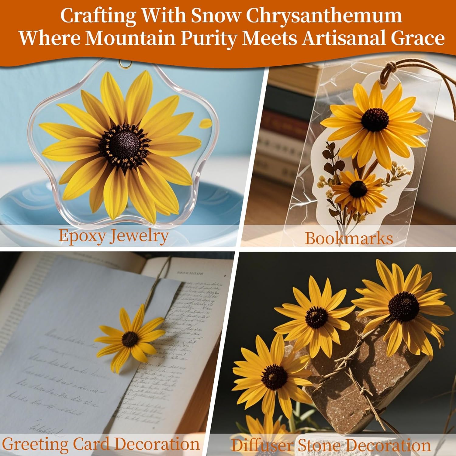 Sukh Dried Snow Chrysanthemum 3oz for Crafting and Decoration