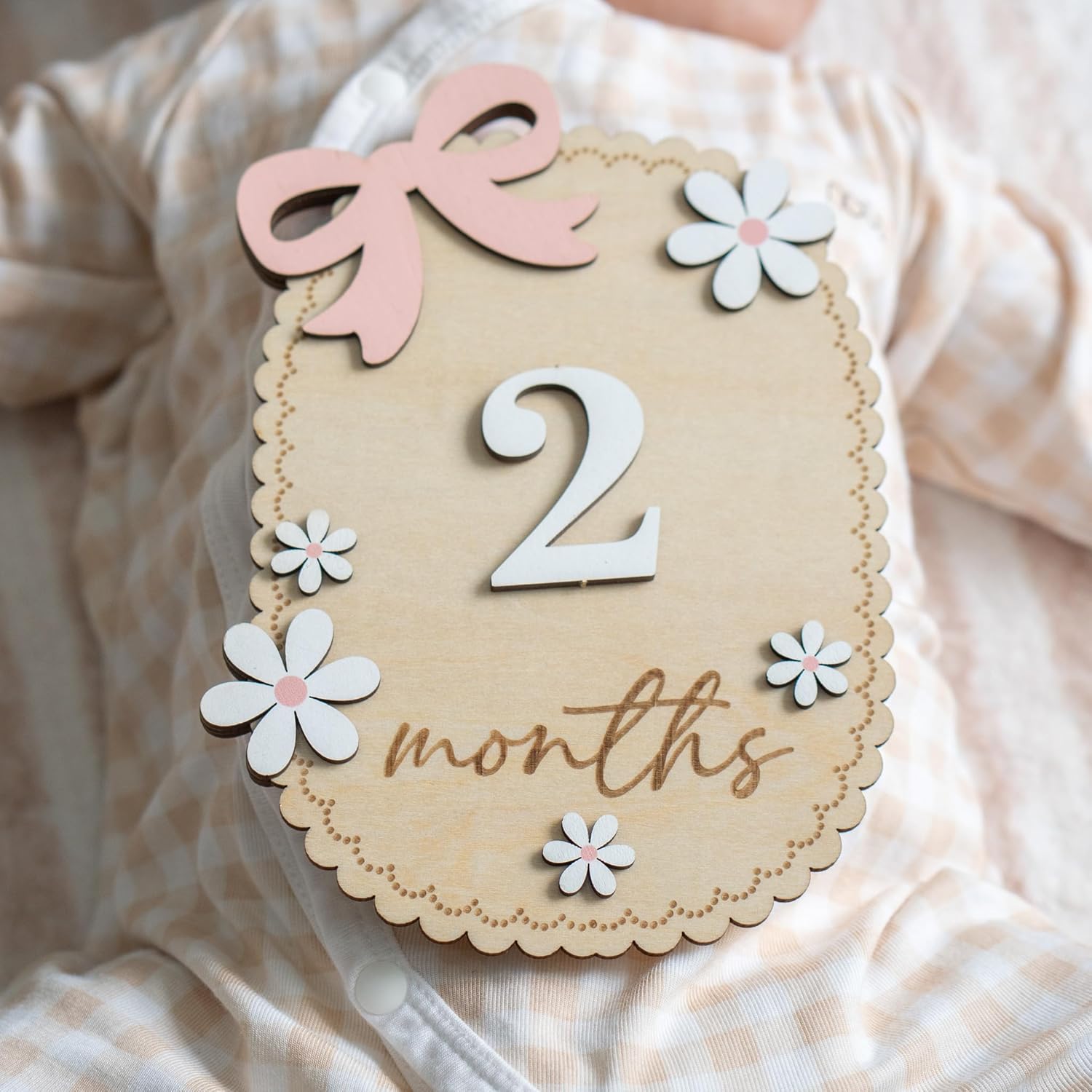 Baby Monthly Milestone Sign Double-Sided 1-12