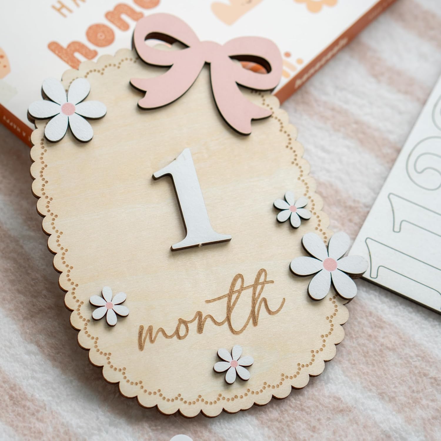 Baby Monthly Milestone Sign Double-Sided 1-12
