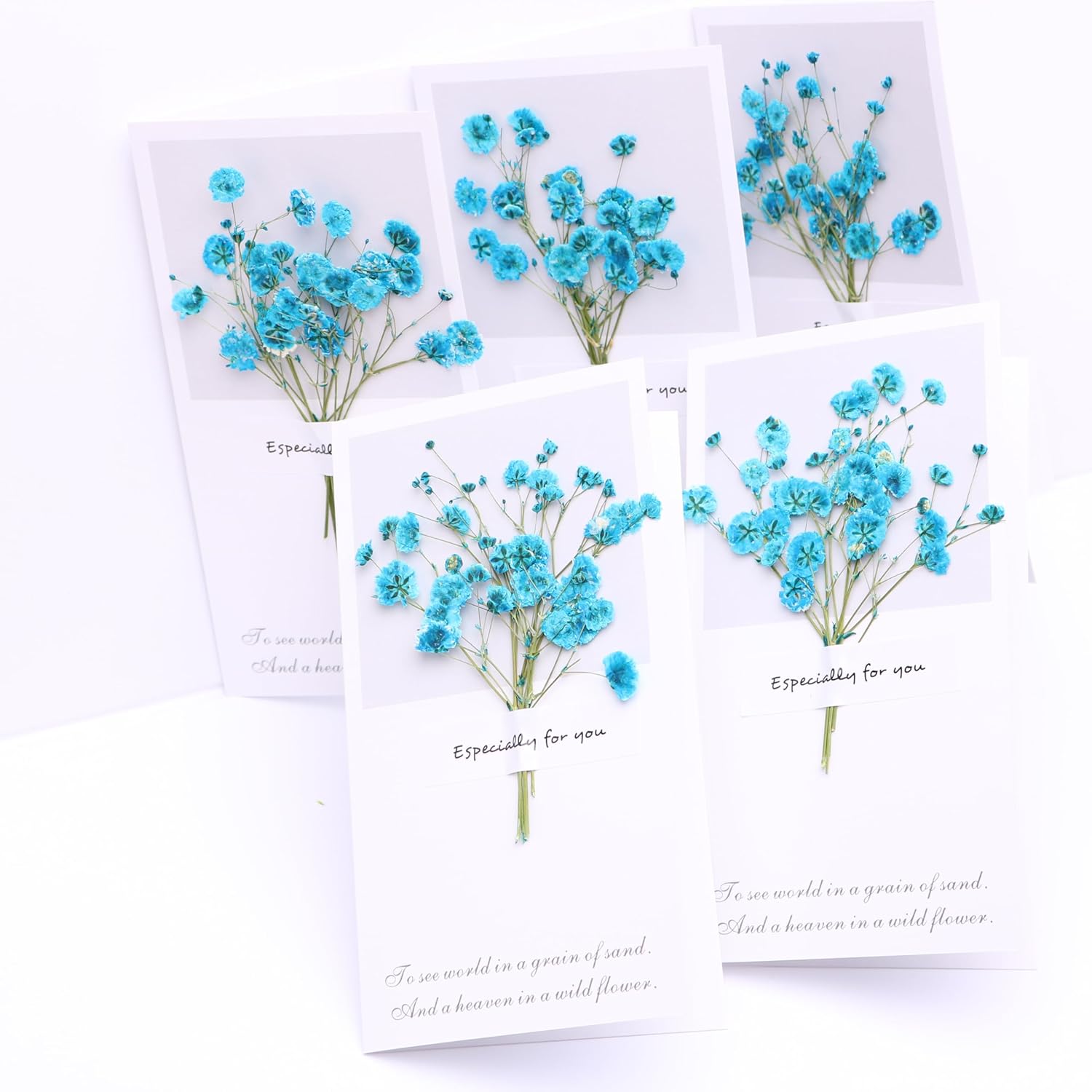 Lake Blue Gypsophila Dried Flowers Greeting Card Set